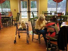 &quot;medicaid assisted living facilities rochester ny